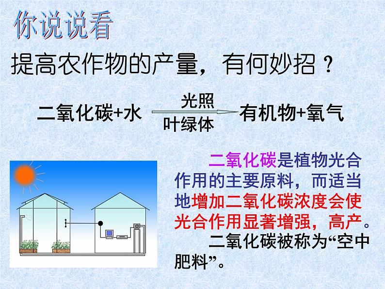 6.5 光合作用和呼吸作用原理的应用-【精准备课】2021-2022学年七年级生物同步备课优质课件（苏教版）05