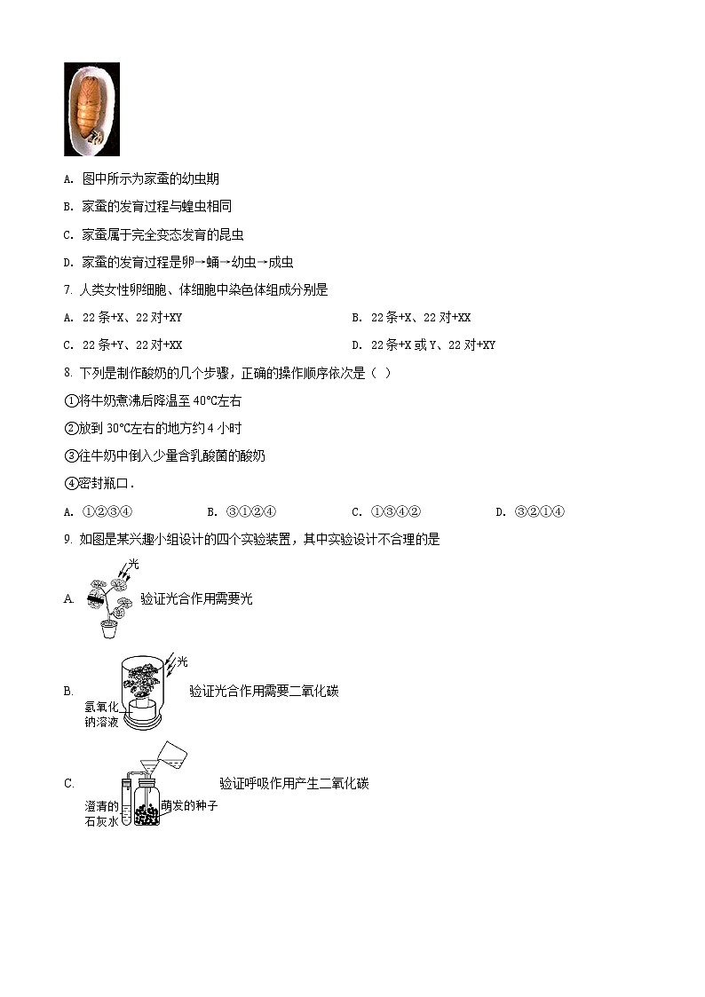 精品解析：【校级联考】重庆市江北区新区联盟2019届九年级中考一模生物试题（原卷版）第2页