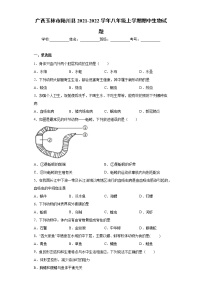 广西玉林市陆川县2021-2022学年八年级上学期期中生物试题（word版 含答案）