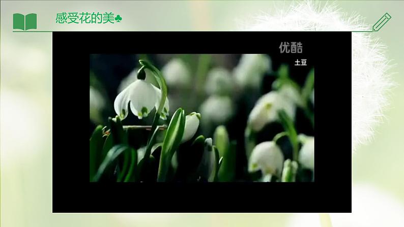 3.2.3  开花和结果 公开课-PPT课件PPT第1页