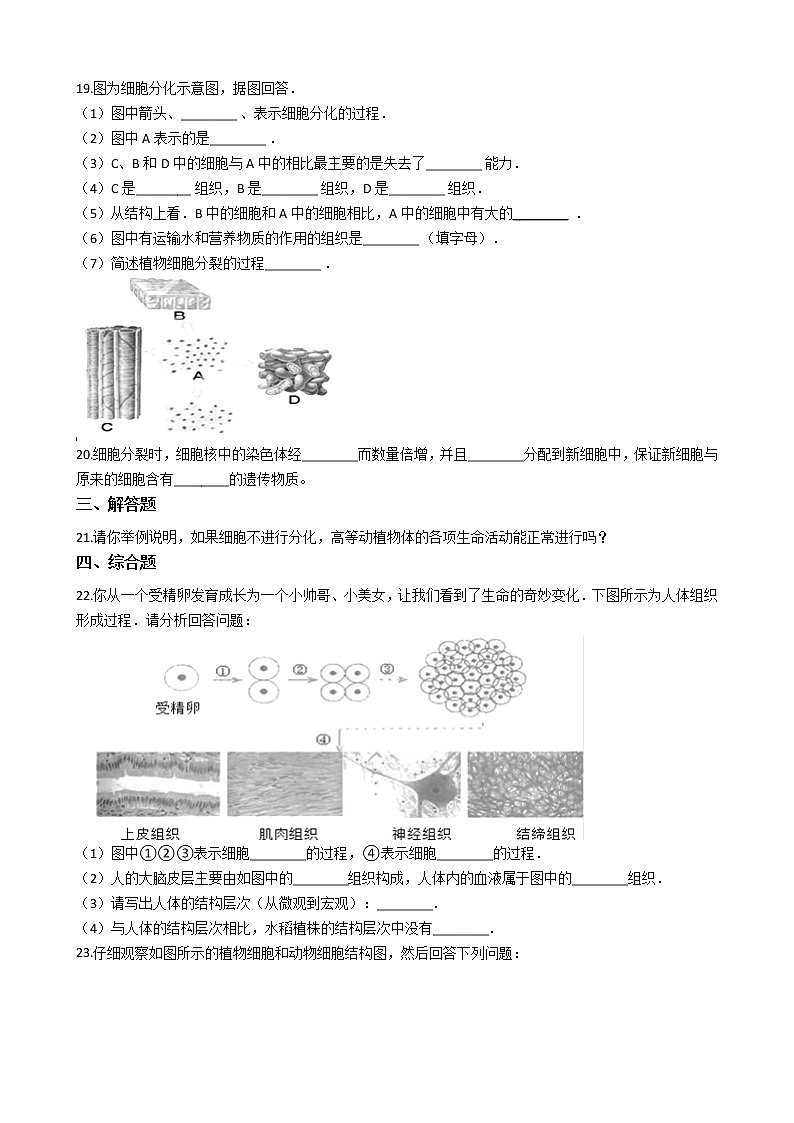沪教版八年级上册生命科学 第一章 人体生命活动的基本条件 练习题03
