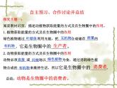 北师大版生物八年级上册 第17章 第1节 动物在生物圈中的作用（课件）