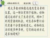 北师大版生物八年级上册 第15章 第1节 动物运动的方式(2)（课件）
