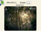 北师大版生物八年级上册 第15章 第1节 动物运动的方式(2)（课件）