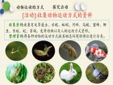 北师大版生物八年级上册 第15章 第1节 动物运动的方式(2)（课件）