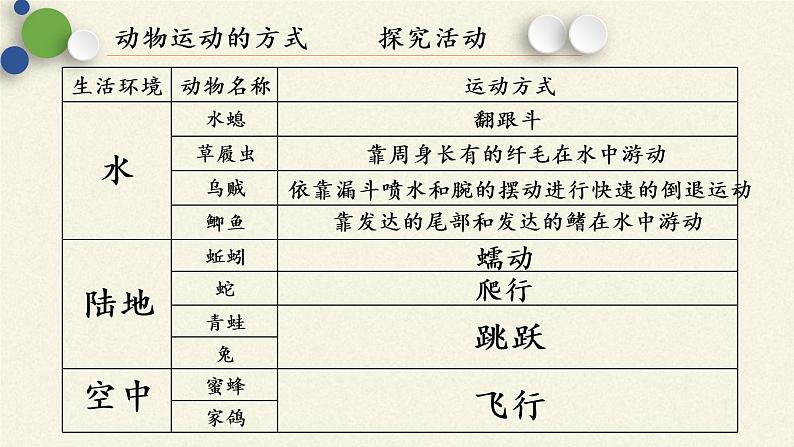 北师大版生物八年级上册 第15章 第1节 动物运动的方式(2)（课件）第6页