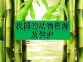北师大版生物八年级上册 第17章 第2节 我国的动物资源及保护(2)（课件）