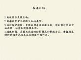 北师大版生物八年级上册 第18章 第1节 微生物在生物圈中的作用（课件）