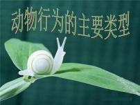 初中生物北师大版八年级上册第2节  动物行为的主要类型说课课件ppt