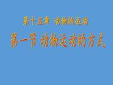 北师大版生物八年级上册 第15章 第1节 动物运动的方式(5)（课件）