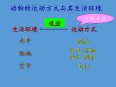 北师大版生物八年级上册 第15章 第1节 动物运动的方式(5)（课件）