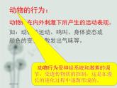 北师大版生物八年级上册 第16章 第1节《先天性行为和后天学习行为》教学（课件）