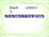 北师大版生物八年级上册 第16章 第1节《先天性行为和后天学习行为》（课件）