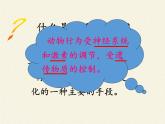 北师大版生物八年级上册 第16章 第1节 先天性行为和后天学习行为(6)（课件）