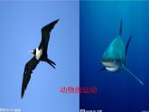 北师大版生物八年级上册 第16章 第1节 先天性行为和后天学习行为(6)（课件）