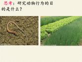 北师大版生物八年级上册 第16章 第1节 先天性行为和后天学习行为(6)（课件）