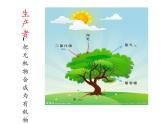 北师大版生物八年级上册 第17章 第1节 动物在生物圈中的作用(4)（课件）