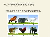 北师大版生物八年级上册 第17章 第1节 动物在生物圈中的作用(4)（课件）