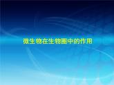 北师大版生物八年级上册 第18章 第1节微生物在生物圈中的作用_（课件）