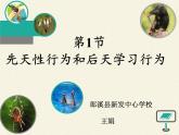 北师大版生物八年级上册 第16章 第1节 先天性行为和后天学习行为（课件）