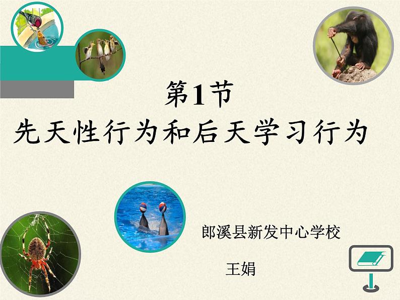 北师大版生物八年级上册 第16章 第1节 先天性行为和后天学习行为（课件）第4页