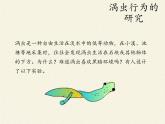 北师大版生物八年级上册 第16章 第1节 先天性行为和后天学习行为（课件）
