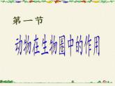 北师大版生物八年级上册 第17章 第1节 动物在生物圈中的作用（课件）