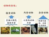 北师大版生物八年级上册 第17章 第1节 动物在生物圈中的作用（课件）