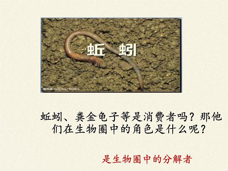 北师大版生物八年级上册 第17章 第1节 动物在生物圈中的作用（课件）08