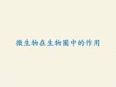 微生物在生物圈中的作用PPT课件免费下载