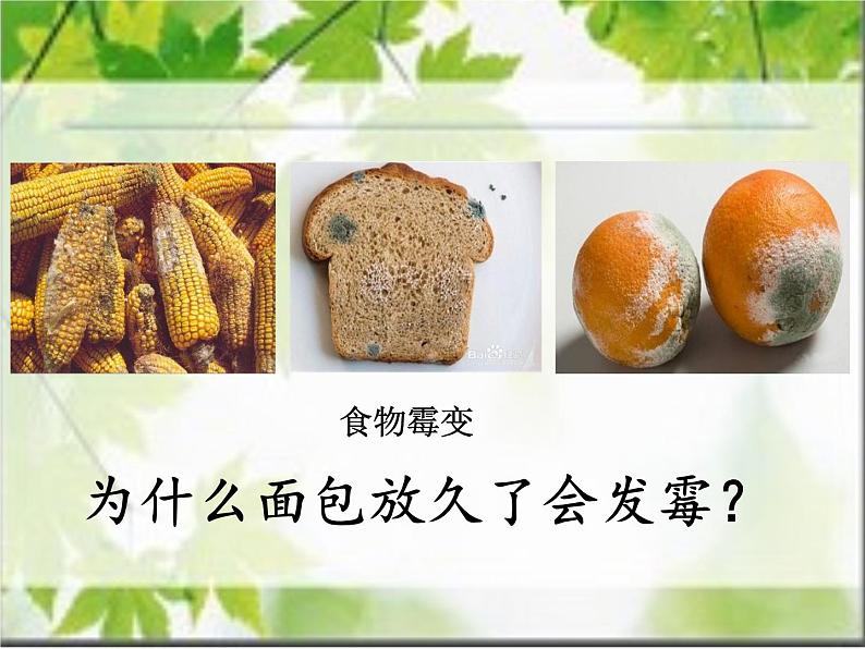 微生物在生物圈中的作用PPT课件免费下载08