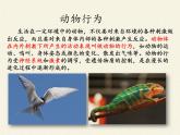 北师大版生物八年级上册 第16章 第1节 先天性行为和后天学习行为(2)（课件）