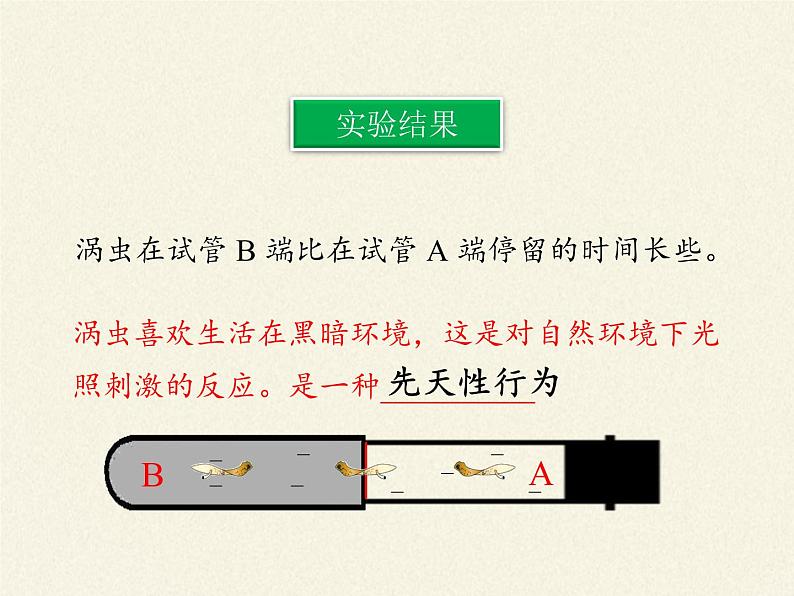 北师大版生物八年级上册 第16章 第1节 先天性行为和后天学习行为(2)（课件）07