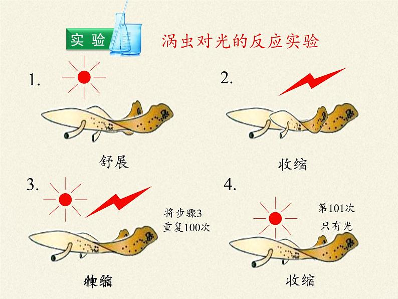 北师大版生物八年级上册 第16章 第1节 先天性行为和后天学习行为(2)（课件）08