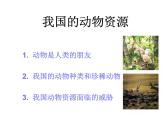 北师大版生物八年级上册 第17章 第2节我国的动物资源及保护_（课件）