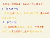 北师大版生物八年级上册 第16章 第1节 先天性行为和后天学习行为(3)（课件）