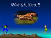 北师大版生物八年级上册 第15章 第2节 动物运动的形成_（课件）
