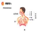 《发生在肺内的气体交换》人教版生物七年级初一下册PPT课件