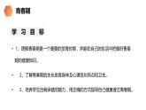 《青春期》人教版生物七年级初一下册PPT课件