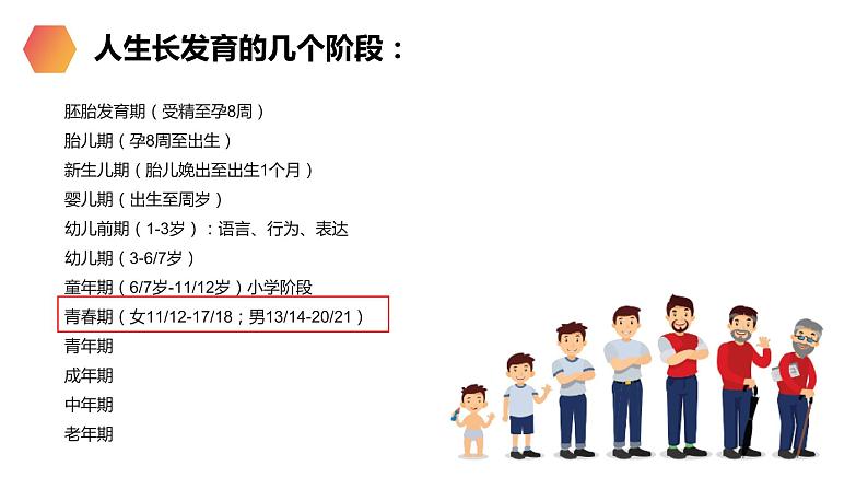 《青春期》人教版生物七年级初一下册PPT课件03