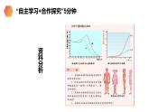 《青春期》人教版生物七年级初一下册PPT课件