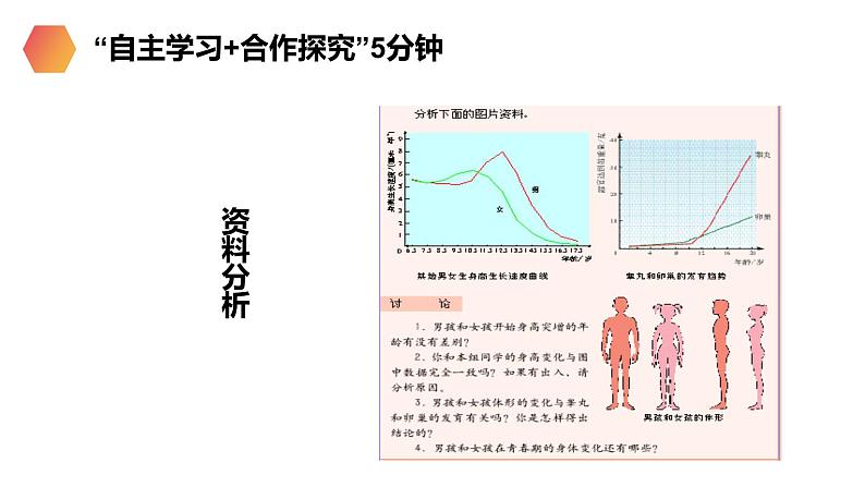 《青春期》人教版生物七年级初一下册PPT课件05