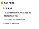 《人的生殖》人教版生物初中七年级初一下册PPT课件