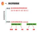 《消化和吸收》人教版生物七年级初一下册PPT课件