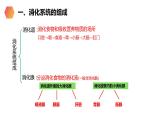 《消化和吸收》人教版生物七年级初一下册PPT课件