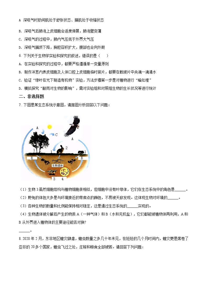 精品解析：2021年四川省泸州市泸县中考一模生物试题02