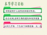北师大版生物八年级上册 第20章 第1节 遗传和变异现象(2)（课件）