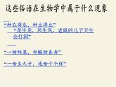 北师大版生物八年级上册 第20章 第1节 遗传和变异现象(5)（课件）