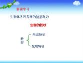 北师大版生物八年级上册 第20章 第1节 《遗传和变异现象》（课件）