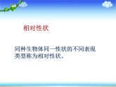 北师大版生物八年级上册 第20章 第1节 《遗传和变异现象》（课件）
